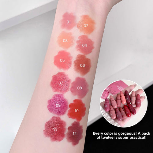 12-Color Matte Lipstick Set